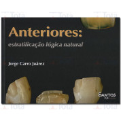 Anteriores: Estratificação Lógica Natural